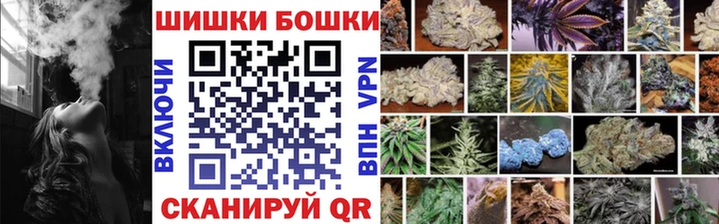 Каннабис индика  Михайловка 